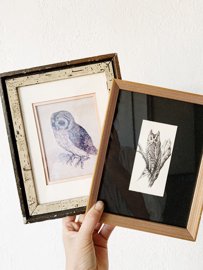 Vintage Framed Owl Print