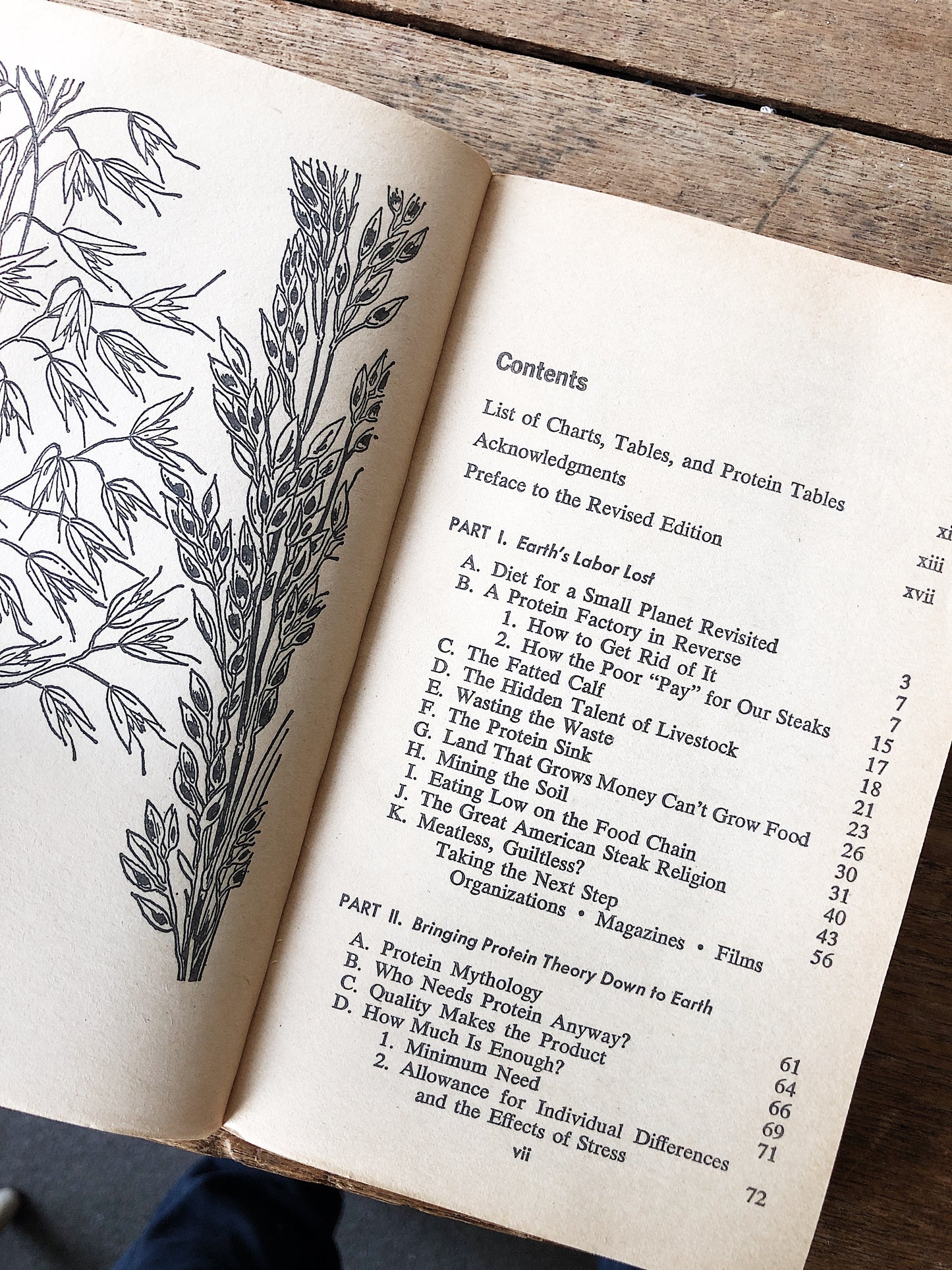 Vintage Paperback