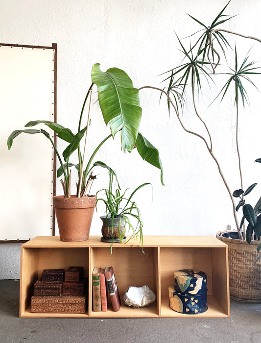 Vintage Wood Cubby Shelf