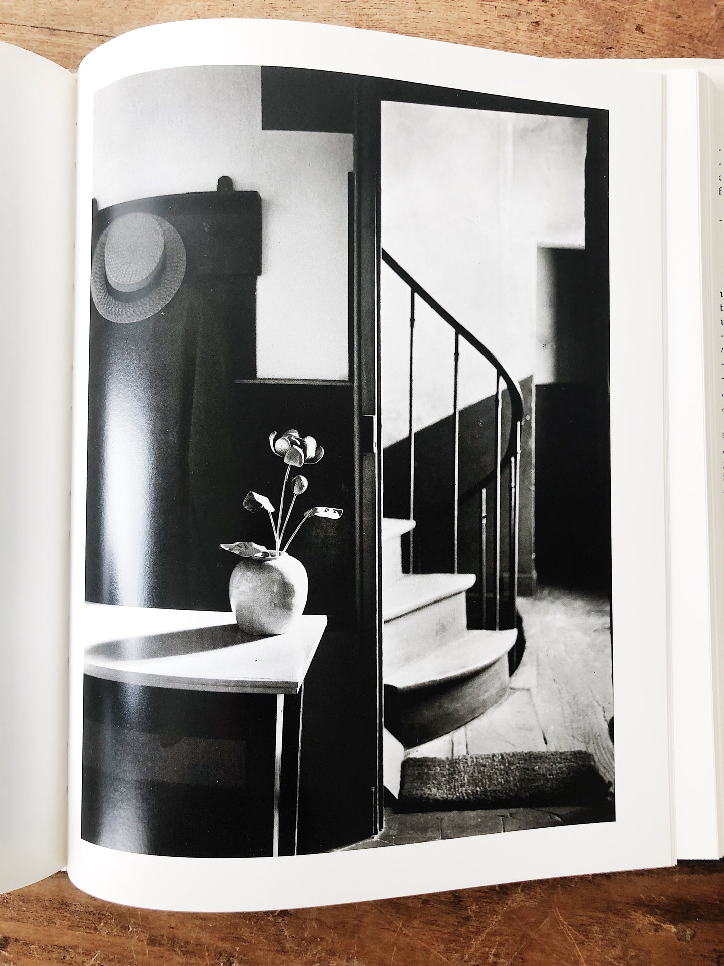 Flora Photographica Vintage Art Book