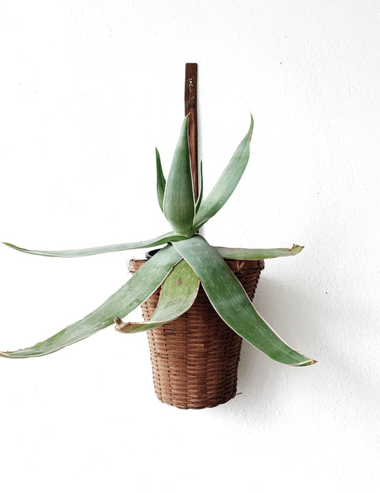Antique Hanging Wall Basket