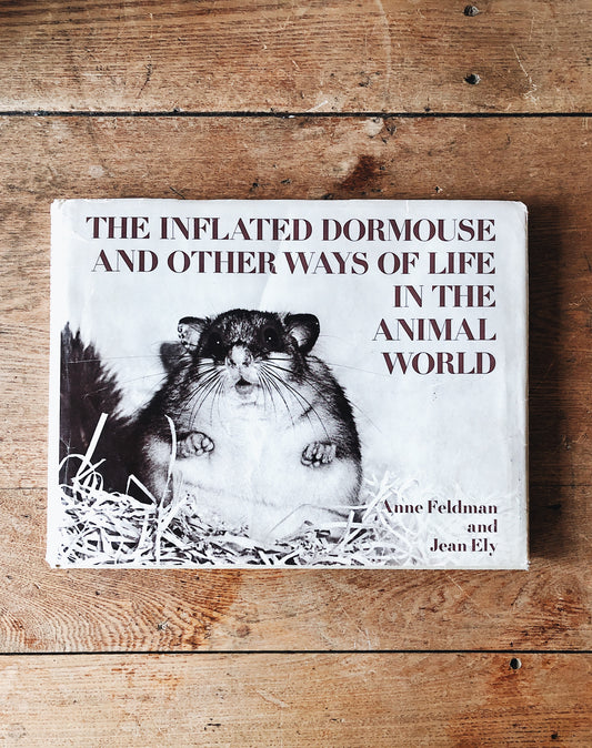 Vintage Animal Kingdom Book