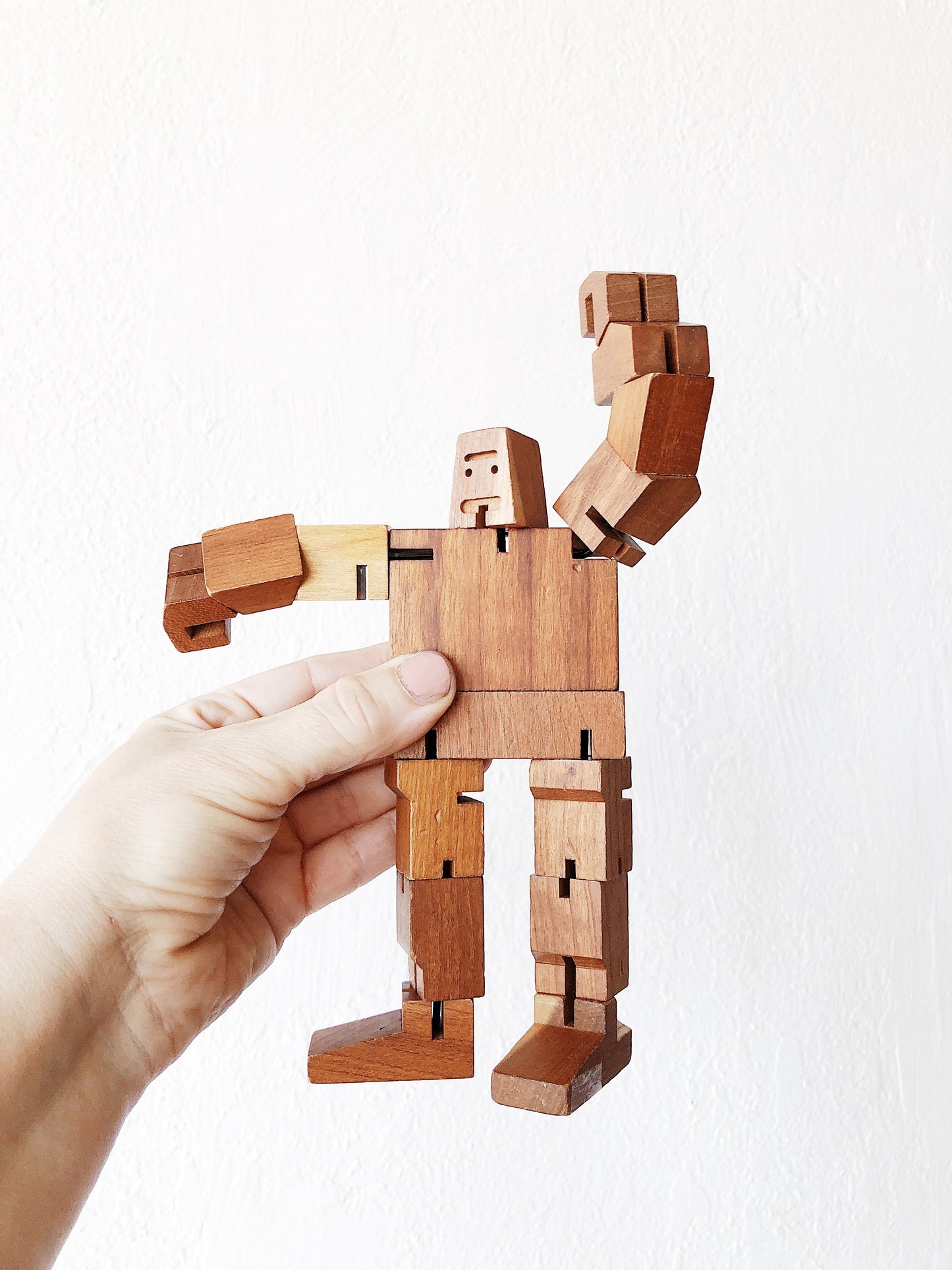 Cubebot Puzzle