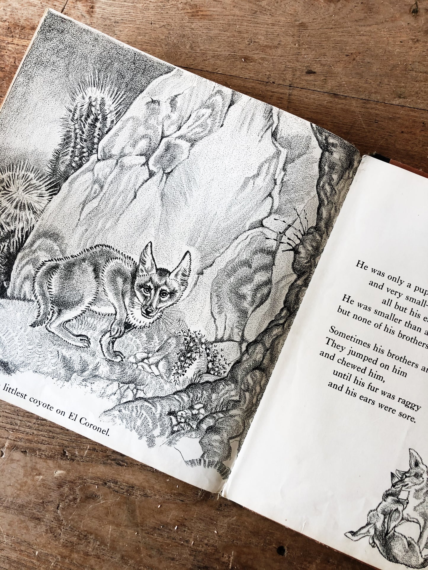 Vintage 1940s Children’s Book