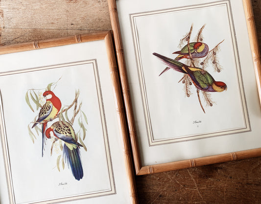 Vintage J Gould Litho Pair