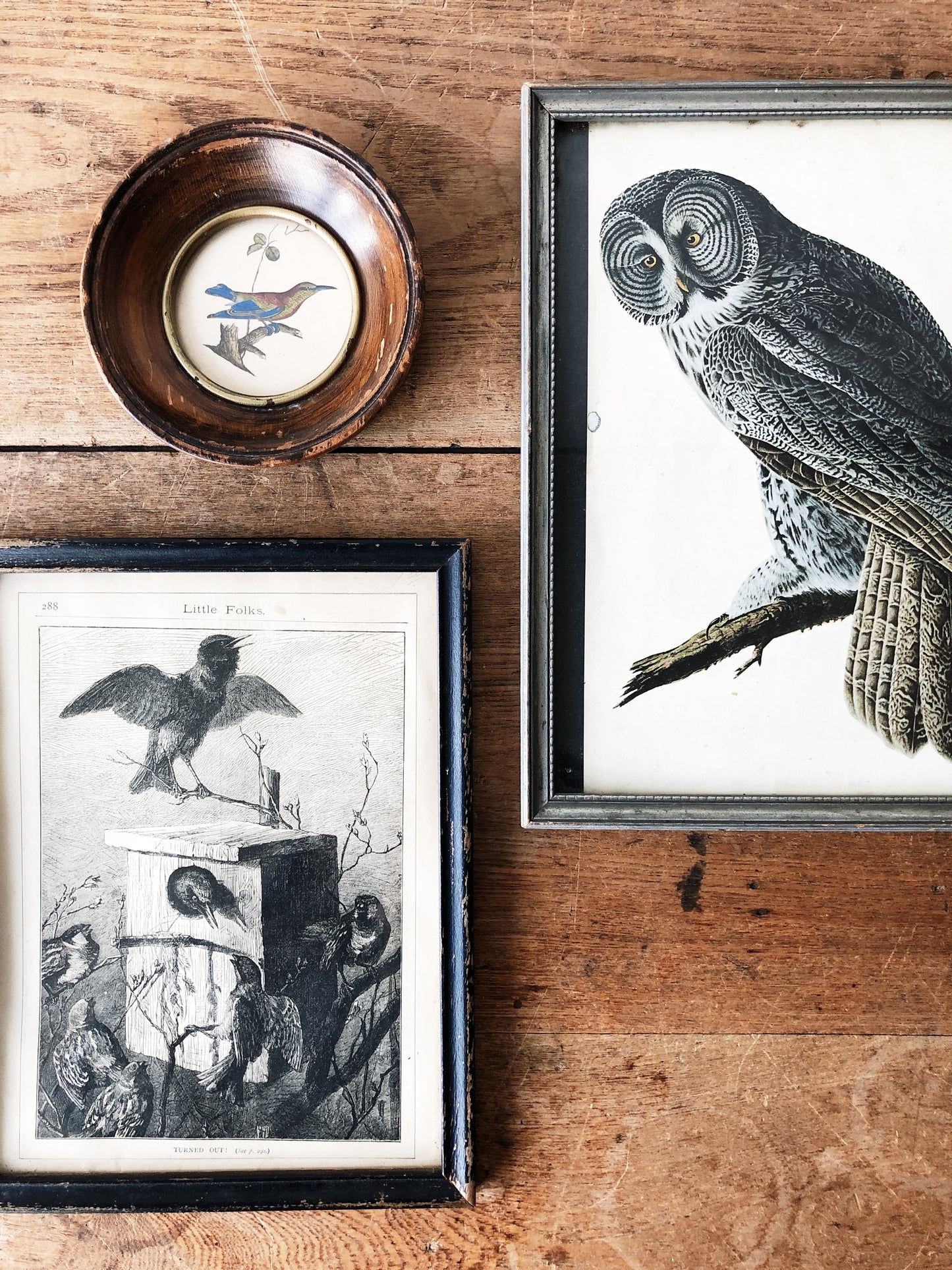Antique Avian Lithograph
