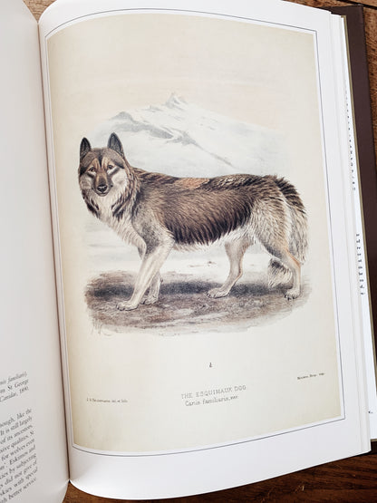 Vintage Classic Natural History Prints Art Book