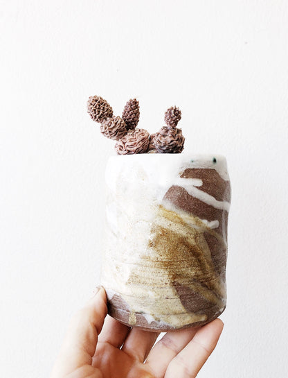 Pink Obesa Cactus in Vintage Pot