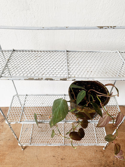 Mid Century Metal Shelf