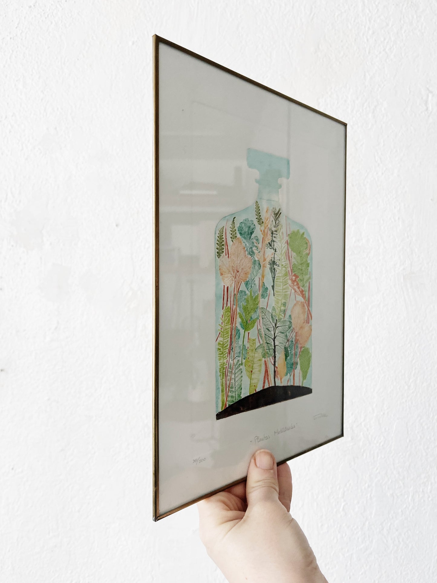 Original Framed Etching