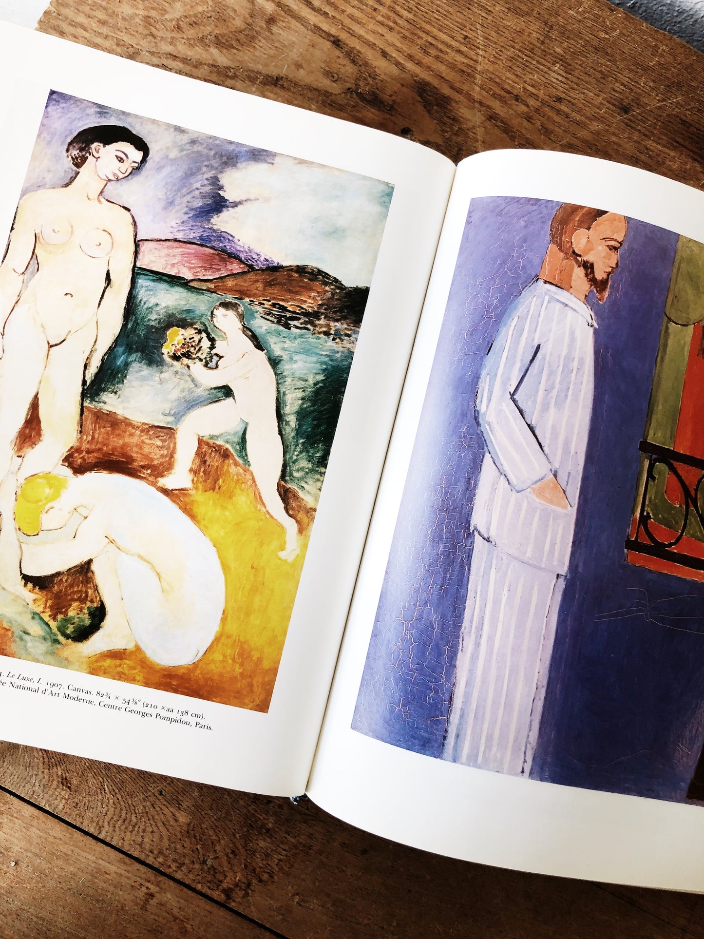 Vintage Matisse Retrospective Hardcover