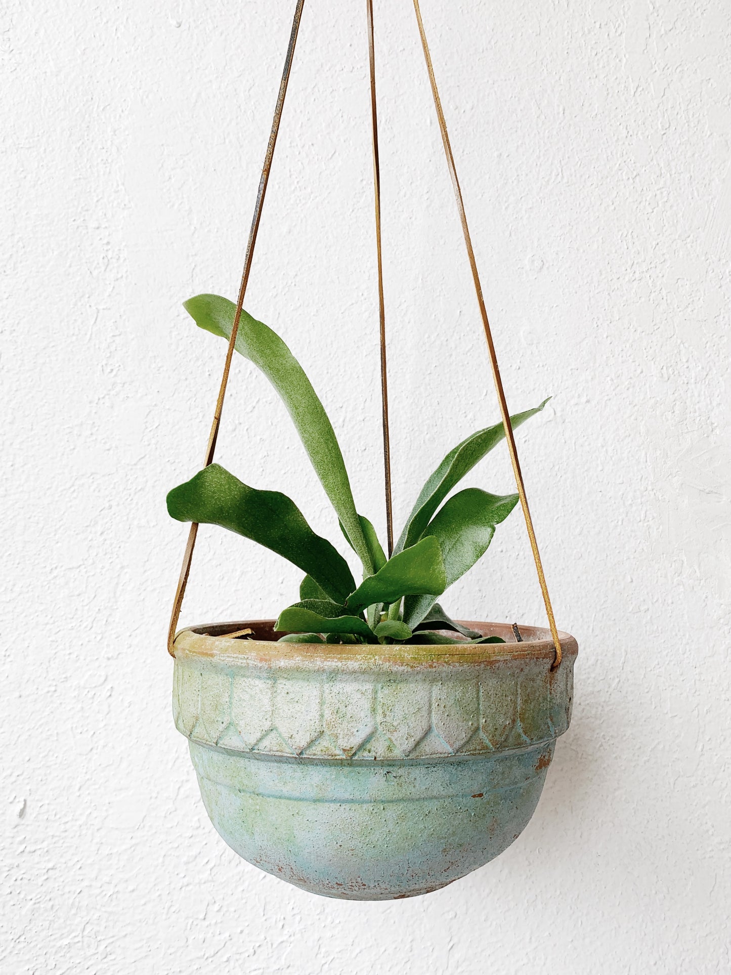 Hanging Terra Cotta Planter