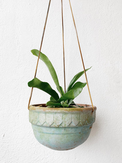 Hanging Terra Cotta Planter