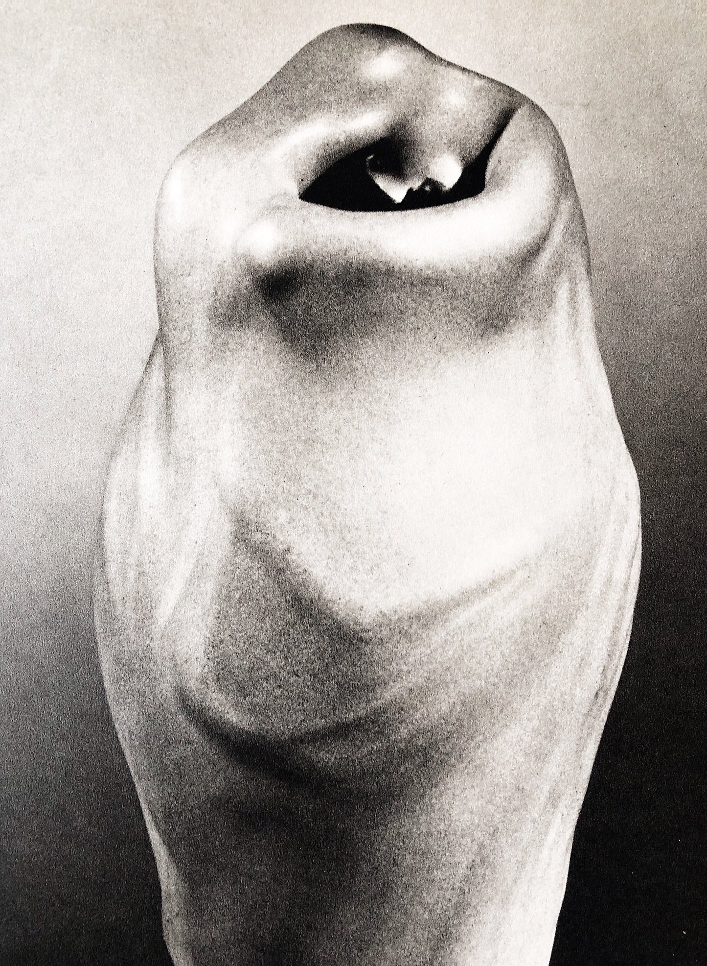 The Flowering of Art Nouveau