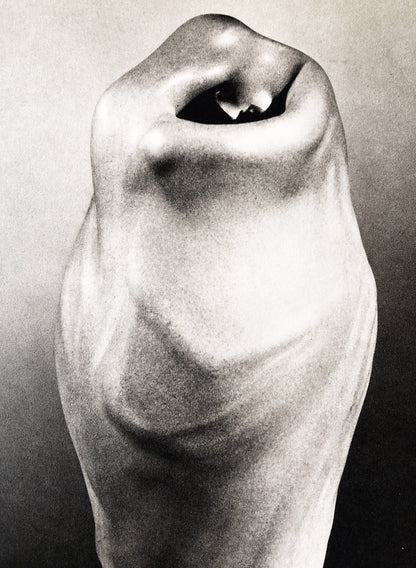 The Flowering of Art Nouveau