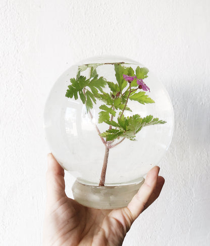 Vintage Plant Aquarium