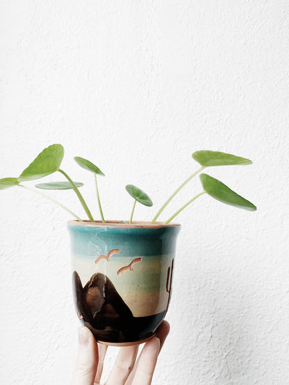 Vintage Superstition Stoneware Pot