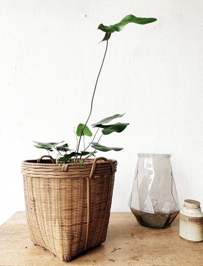 Vintage Basket