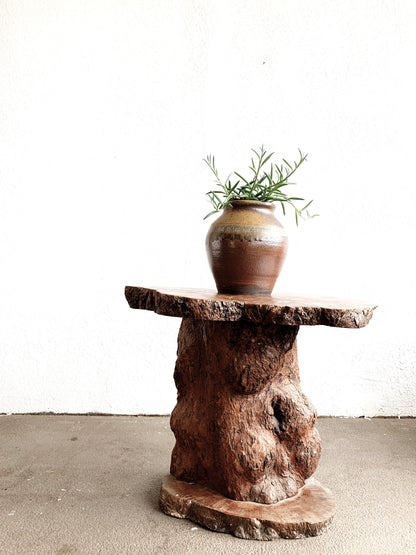 Burl Wood Live Edge Table