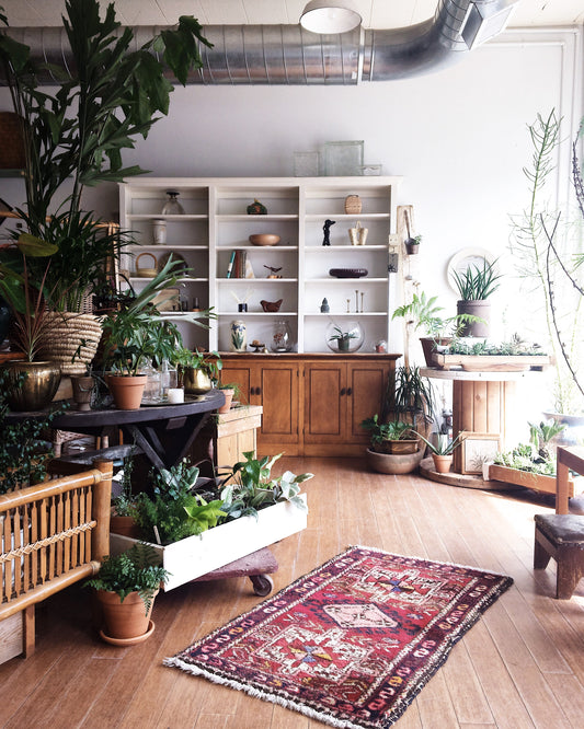 Antique Plush Wool Rug