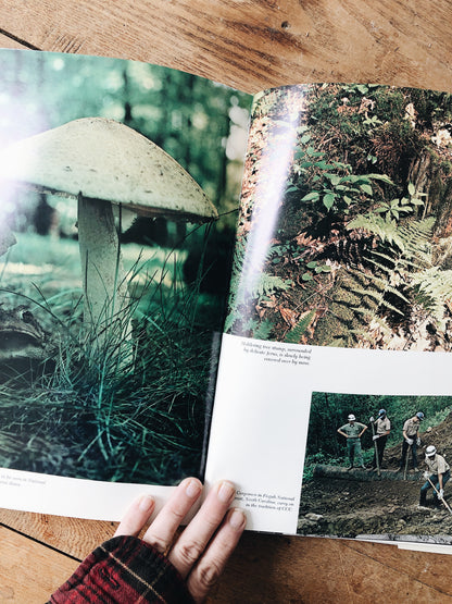 Vintage National Forests of America Book