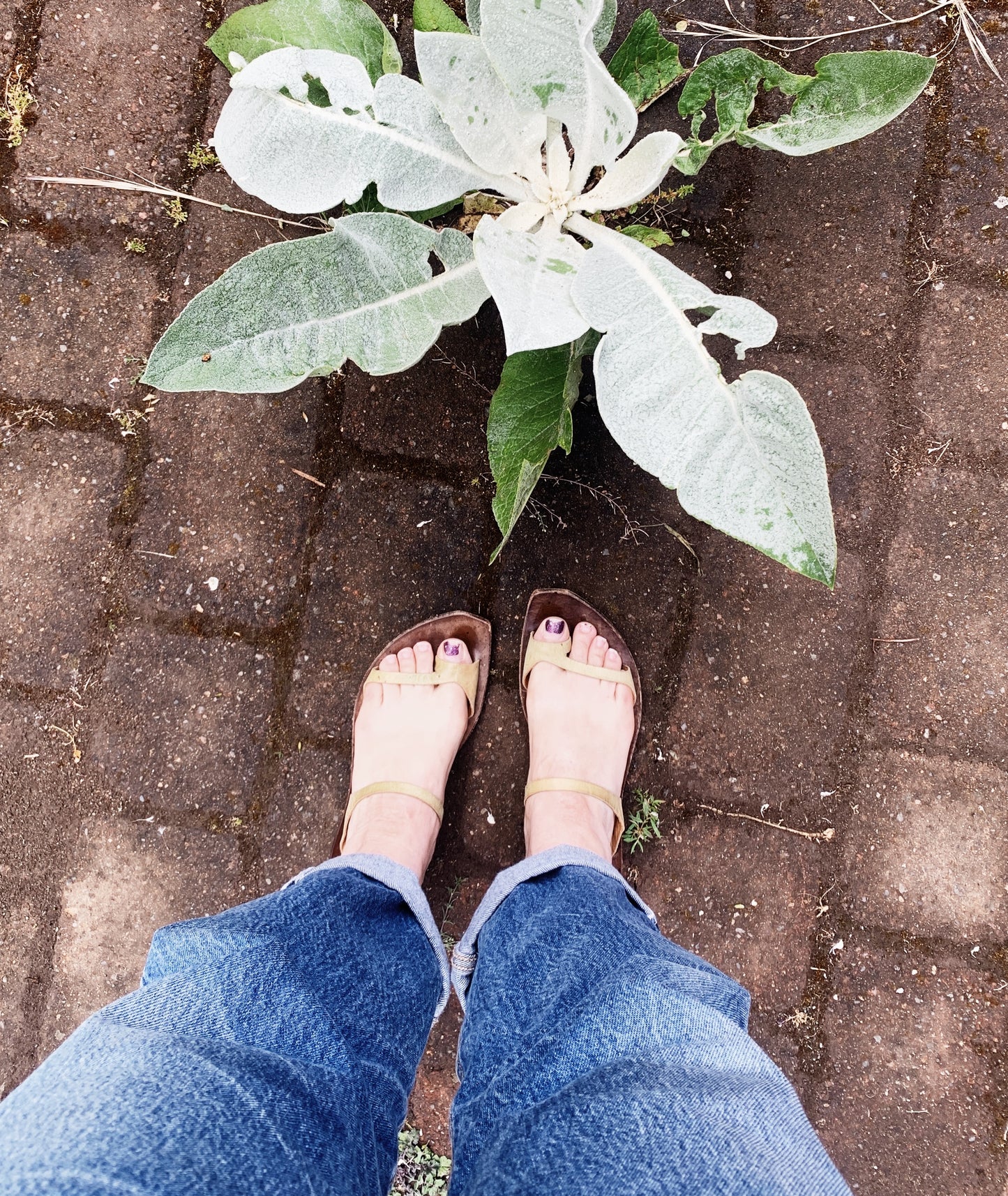 Cydwoq Sandal 38.5