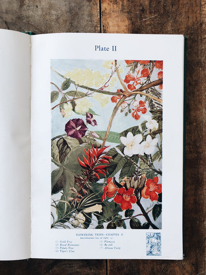 Vintage Botanical Book