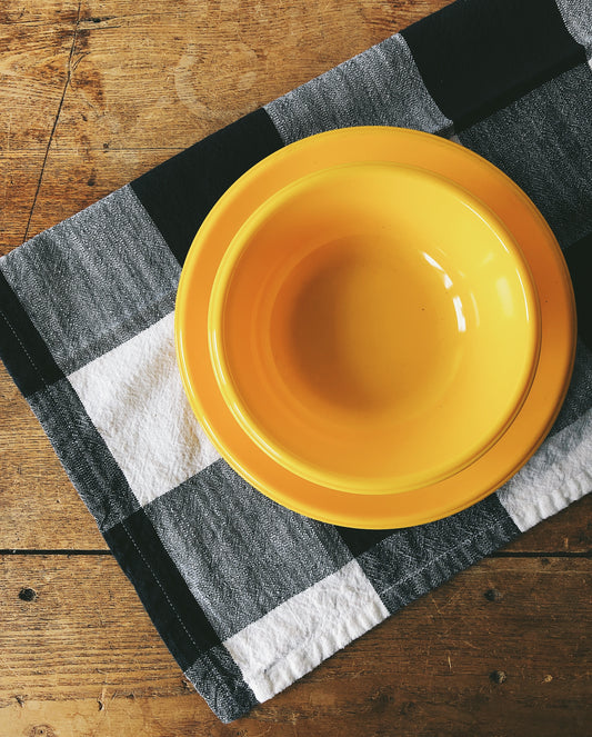 Vintage 1970s Picnic Ware