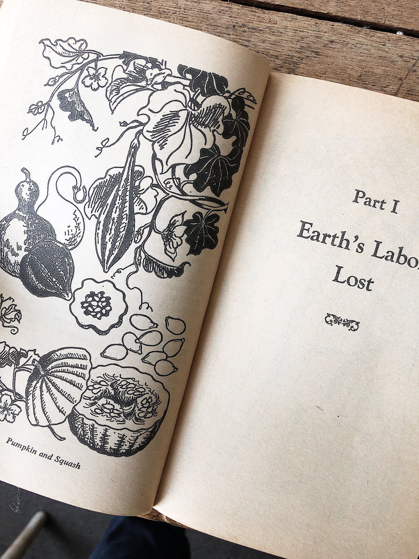 Vintage Paperback