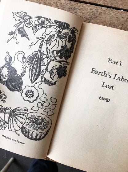 Vintage Paperback