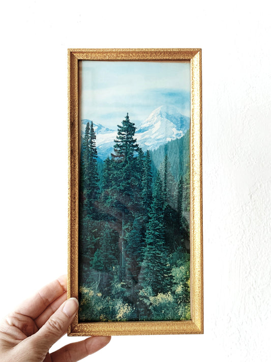 Vintage Framed Landscape Print