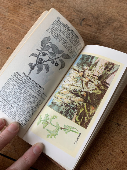 First Edition Antique Herbalist Book Collection