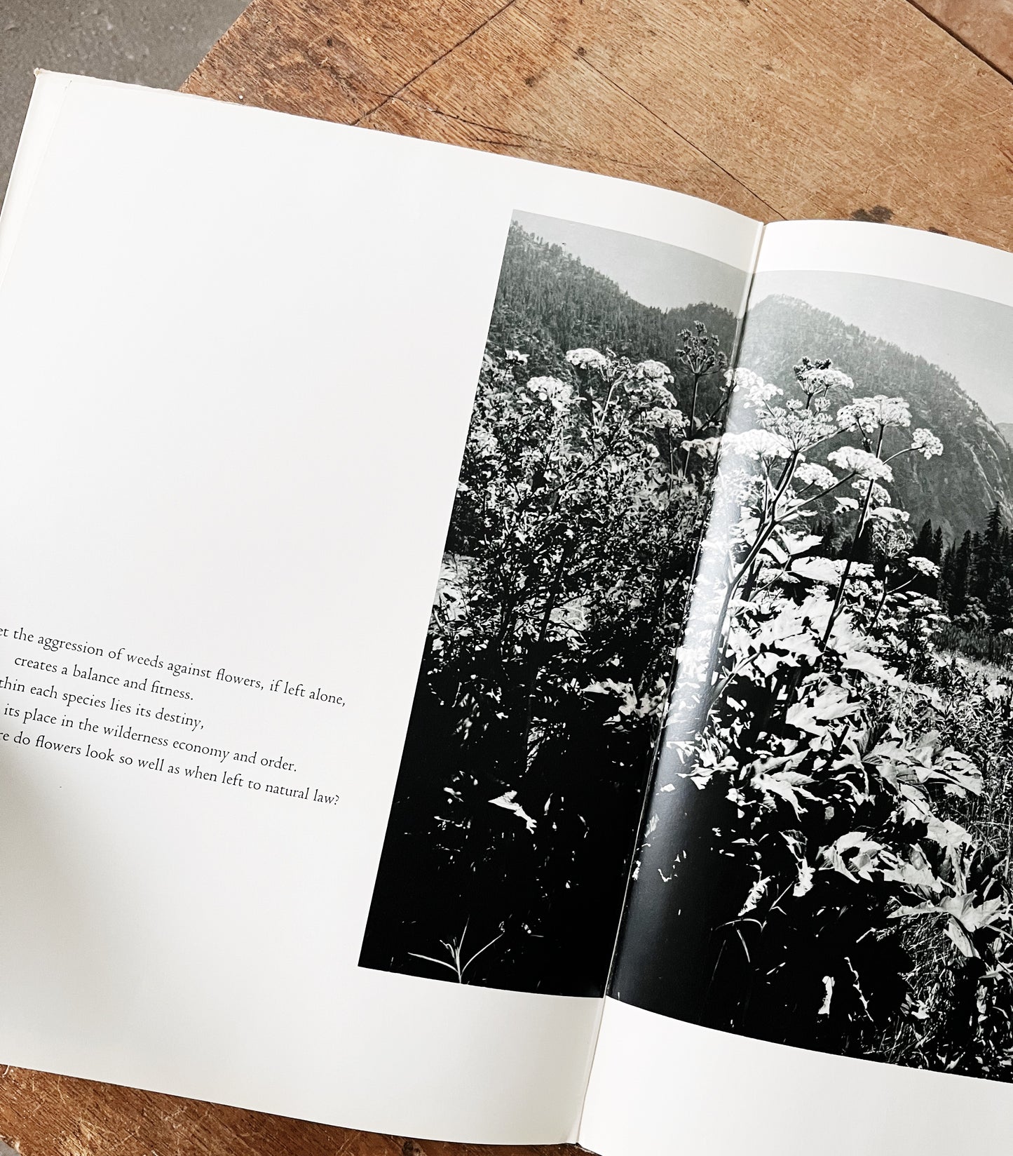 Vintage Words of the Earth Book