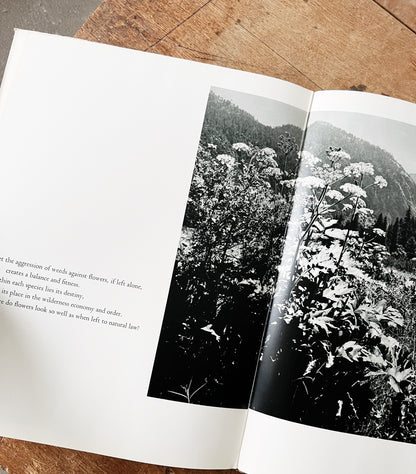 Vintage Words of the Earth Book