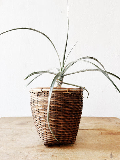 Mid Century Planters with Stand