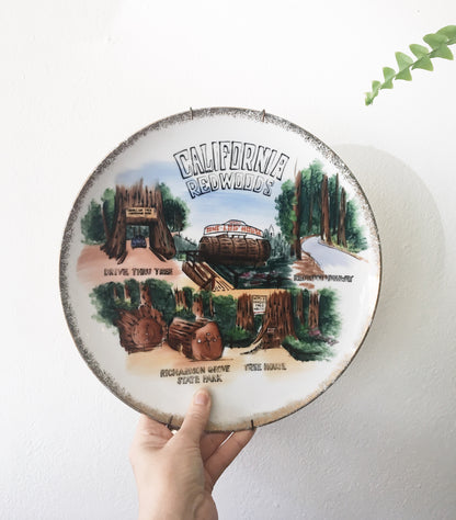 Vintage California Redwoods Plate