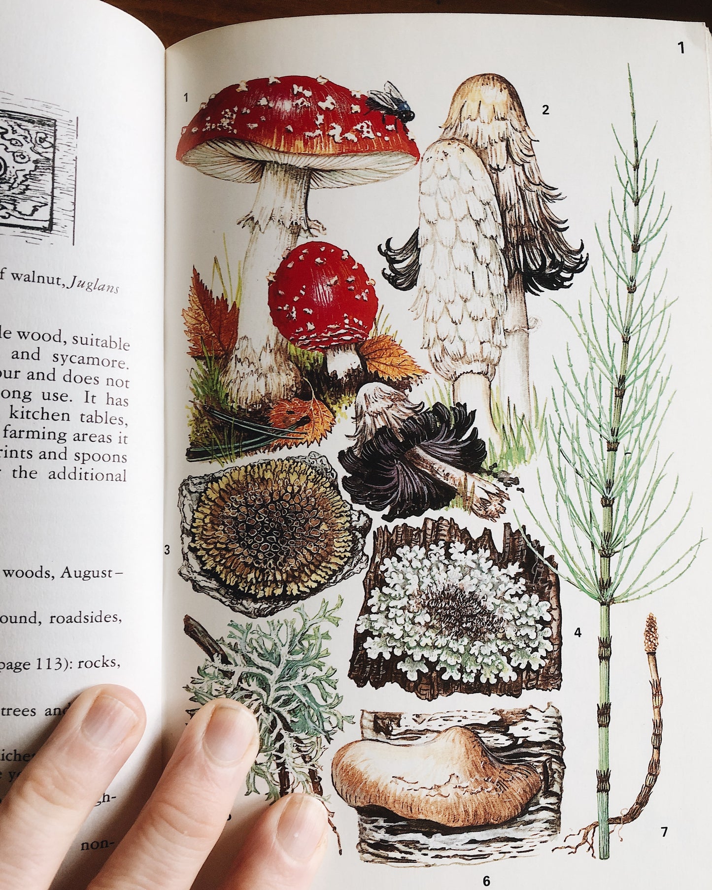 Vintage 1970s Plantcraft Book