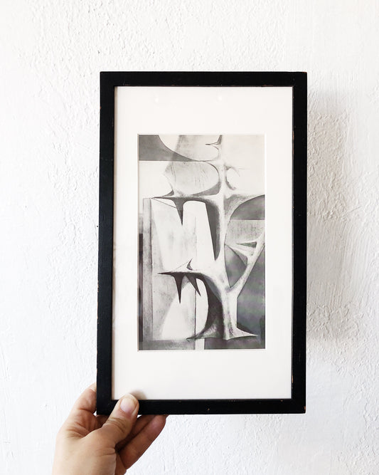 Vintage Mid Century Framed Lithograph