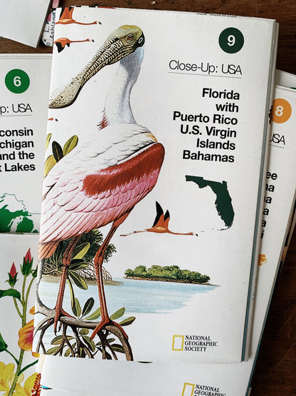 National Geographic Boxed Regional Maps