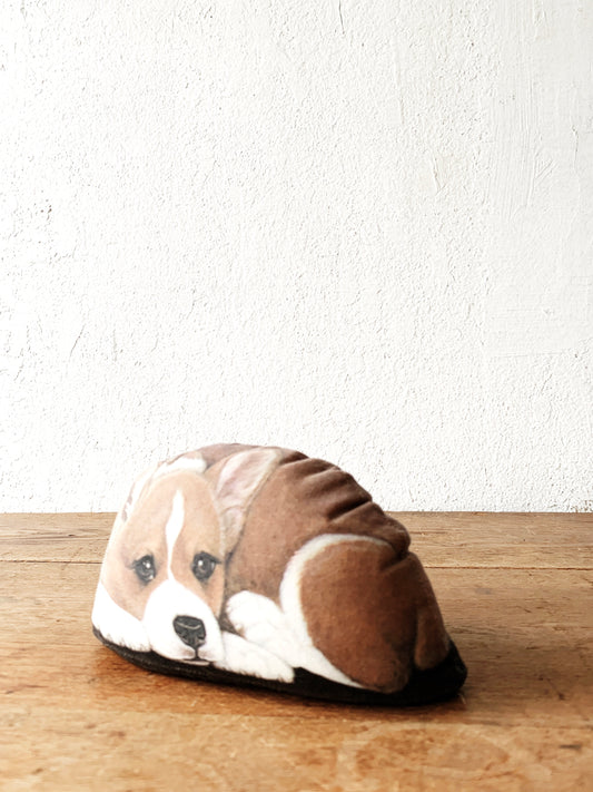 Corgi Pupper Weight