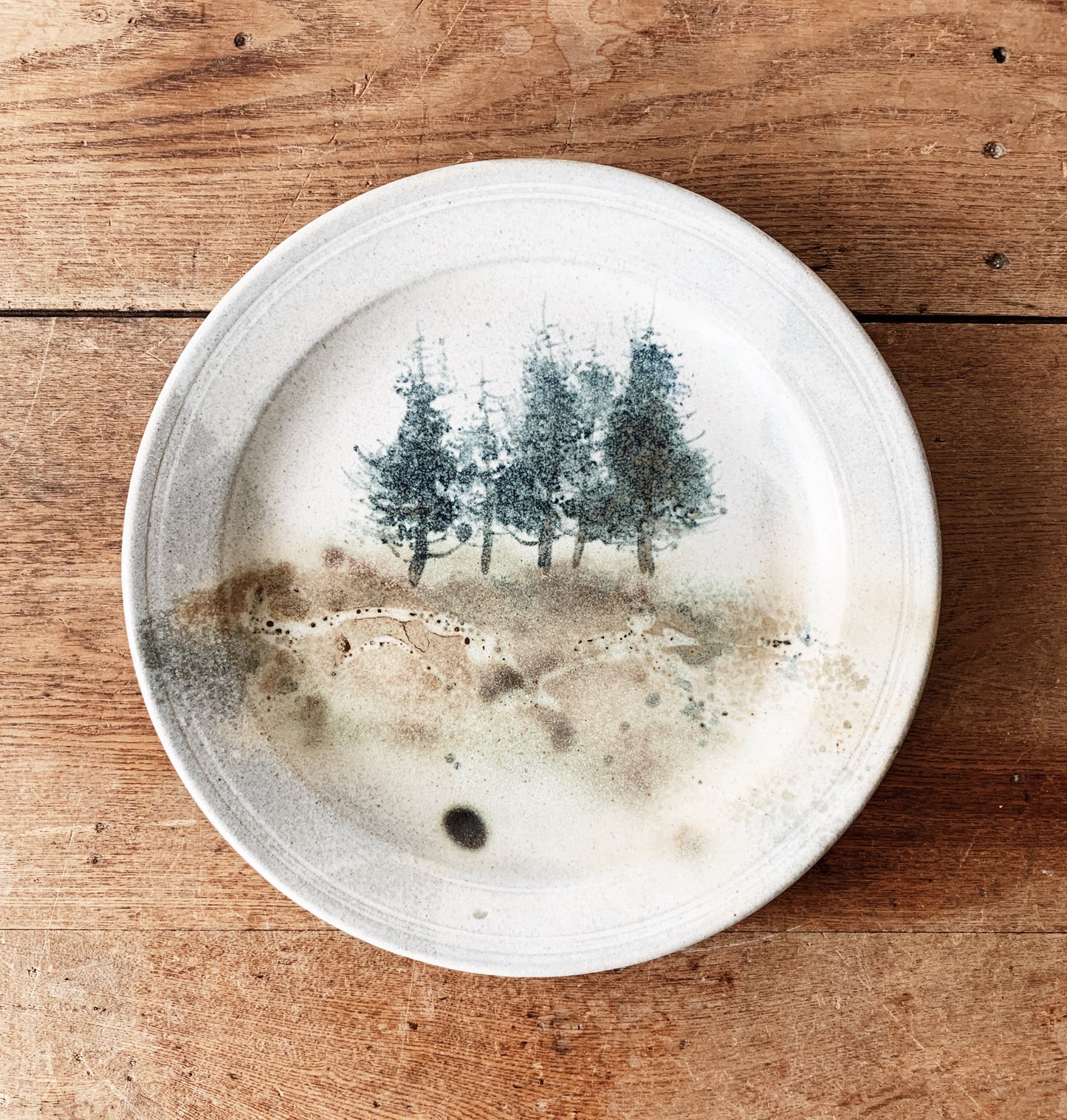 Hand Painted Art Plate with Hanger
