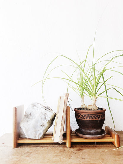 Vintage Expanding Book Rack or Shelf