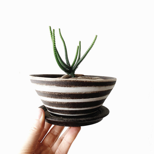 Orcas Island Pot & Tray