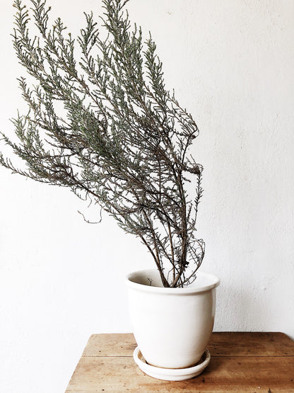 Mid Century US Pottery of Paramount Planter