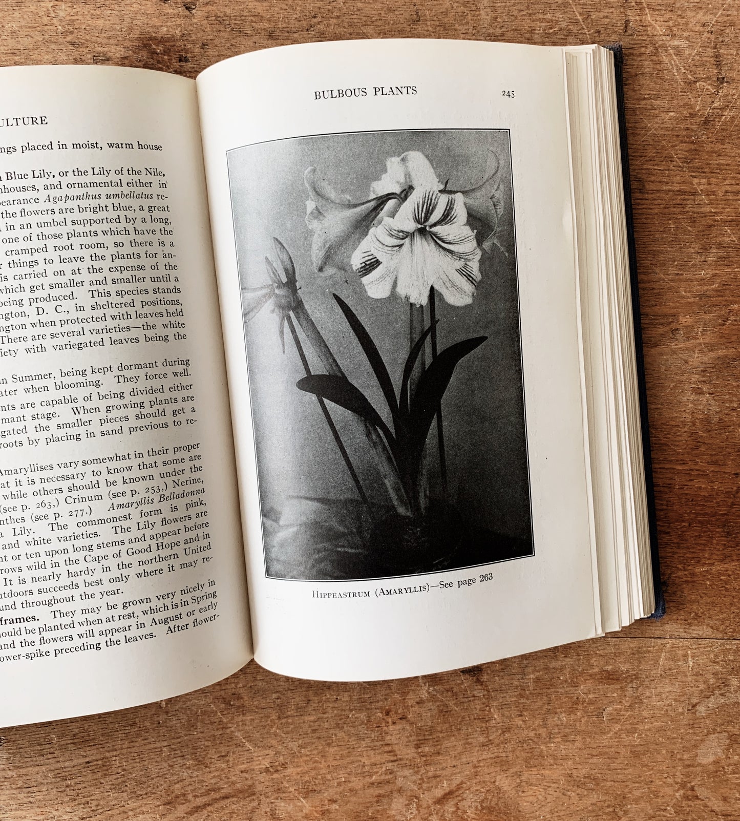 Plant Culture Vintage Book