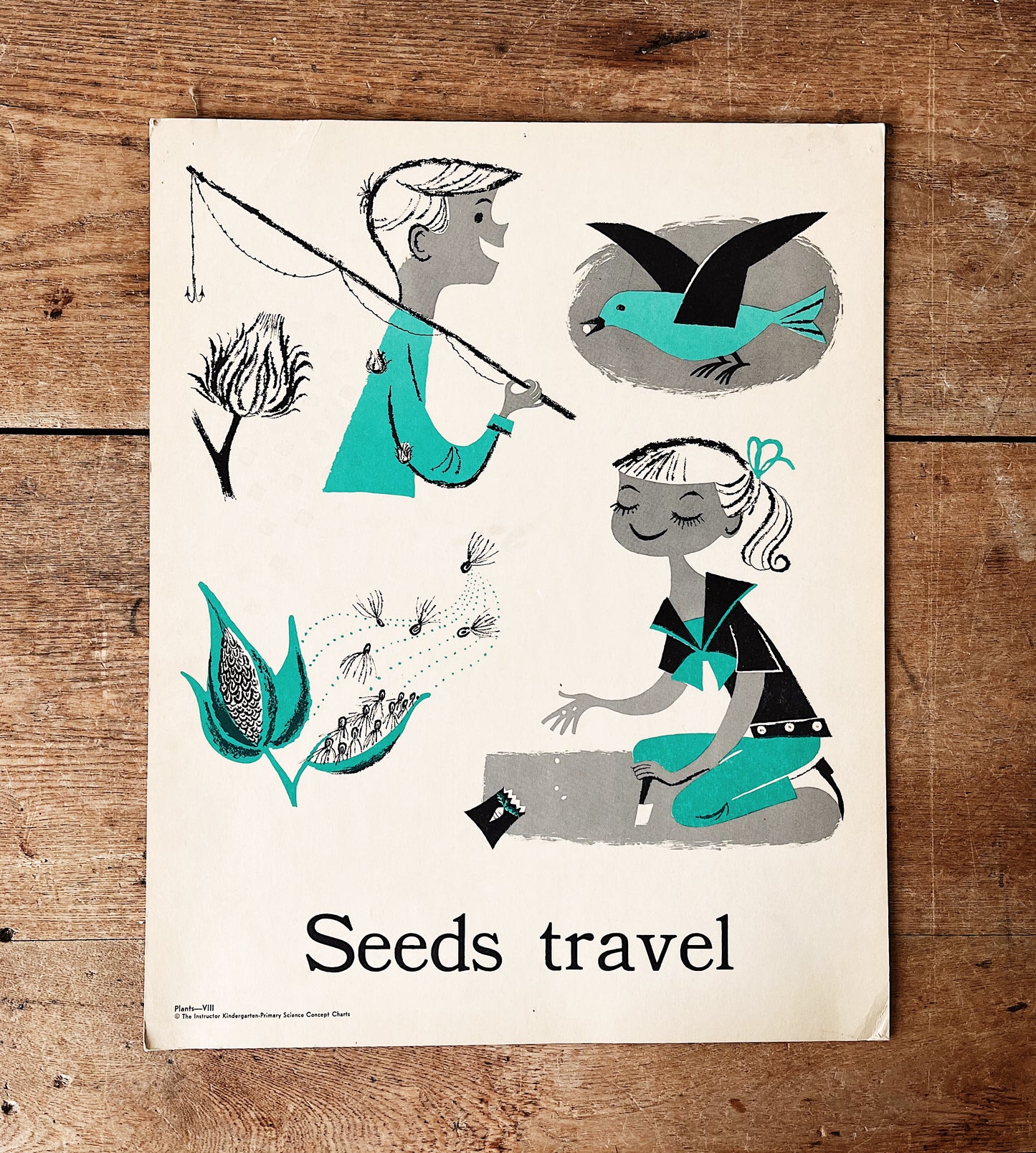 Mid Century Science Poster
