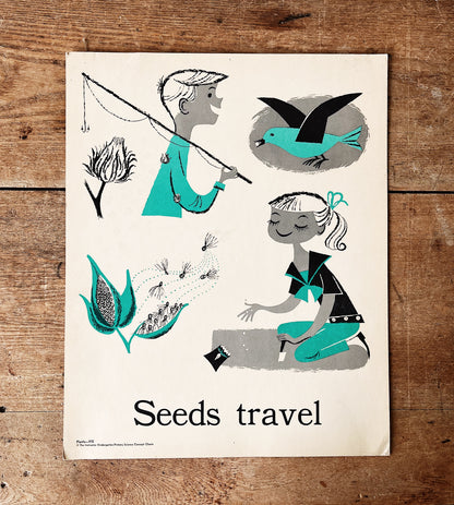 Mid Century Science Poster