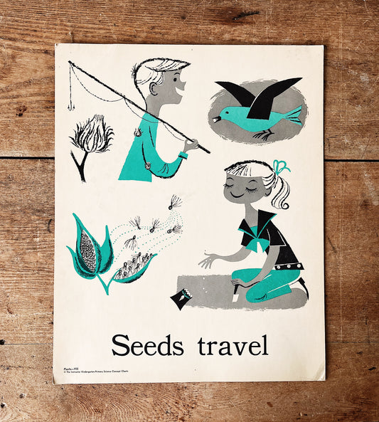 Mid Century Science Poster