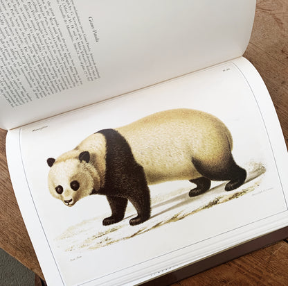 Vintage Classic Natural History Prints Art Book