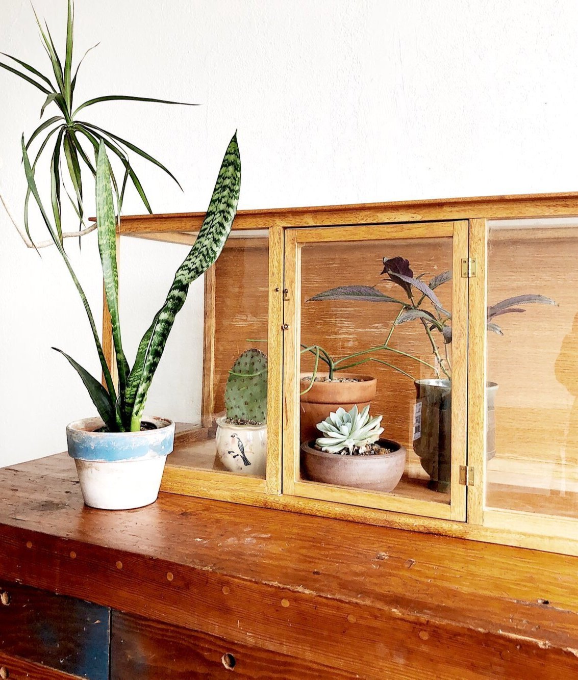 Vintage Glass and Wood Display Case